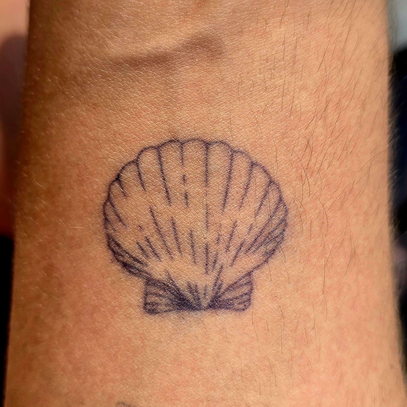 Muschel Tattoo