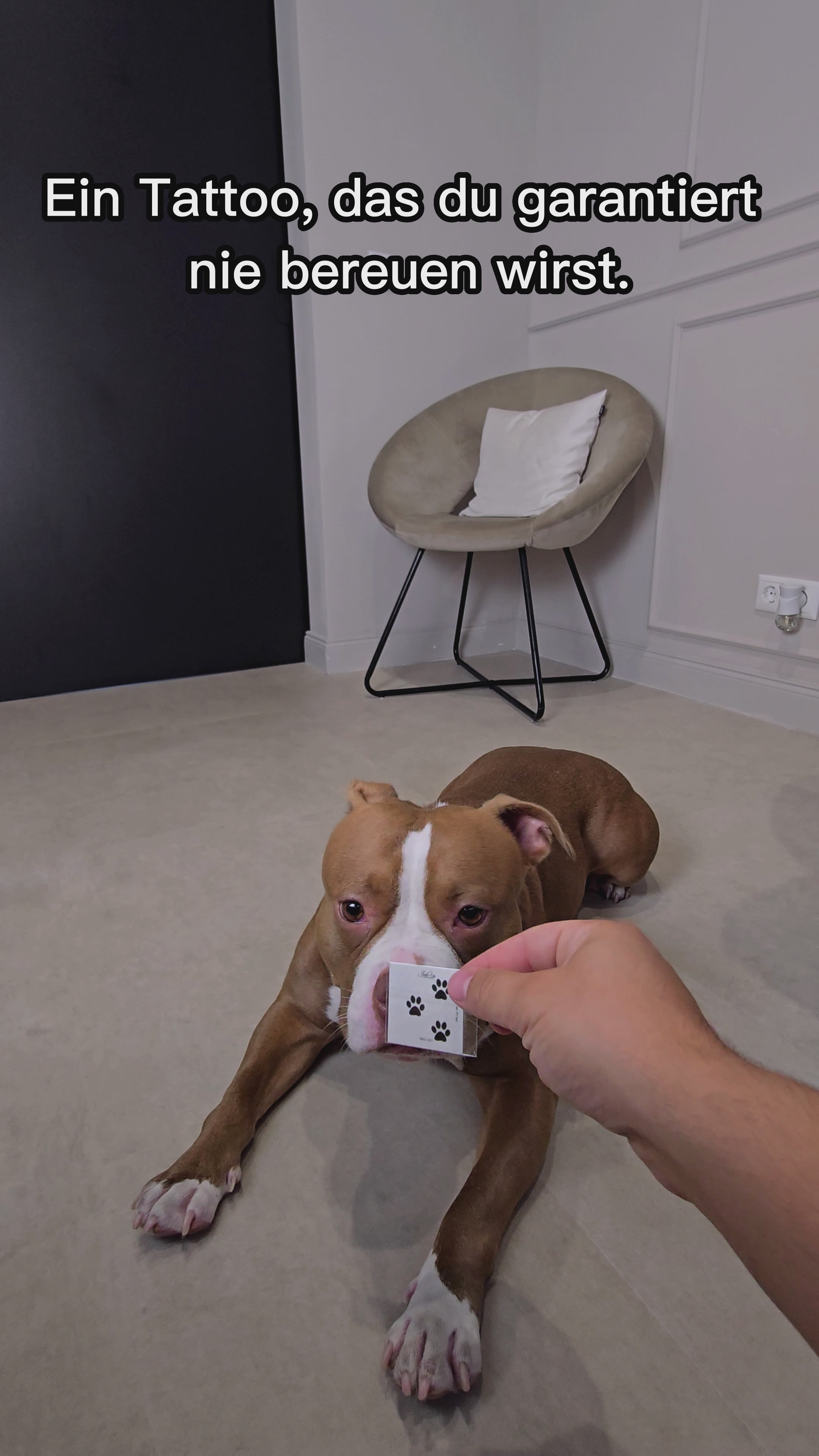 Video laden: Hundepfote Tattoo Trio